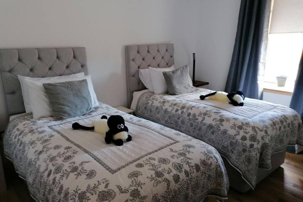 The Apartment In Aberlour Zewnętrze zdjęcie